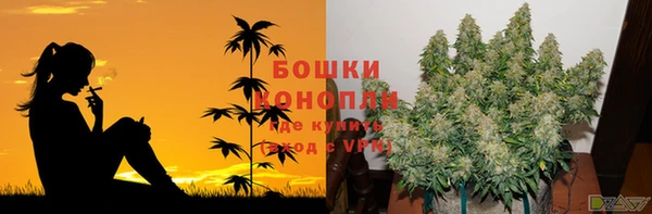 сатива Алексеевка