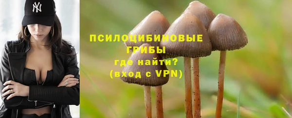 прущие крисы Алексин