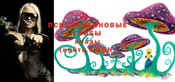 сатива Алексеевка