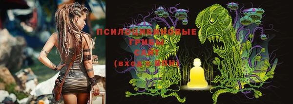 прущие крисы Алексин