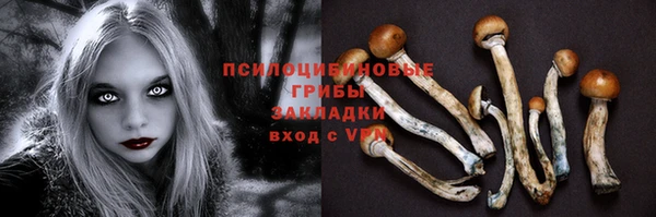 сатива Алексеевка