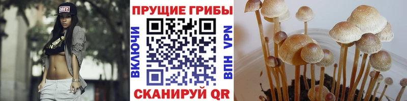 Псилоцибиновые грибы мицелий  Купить где  Малмыж 